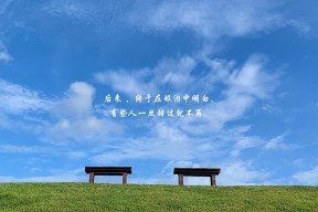 爱游戏官网充值-苏炳添领衔男子接力晋级决赛，苏炳添接力赛2021