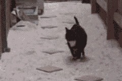 爱游戏-“2025世界运动会：金牛区城北体育馆舞蹈赛，舞者们在节奏中破茧成蝶”