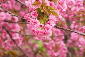 爱游戏官网充值-全球足球数据平台实现实时更新，提升赛事透明度和公正性，全球足球比赛数据app