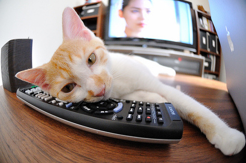 中小学体育兴趣社团全面升级，有创意的小学体育社团名称