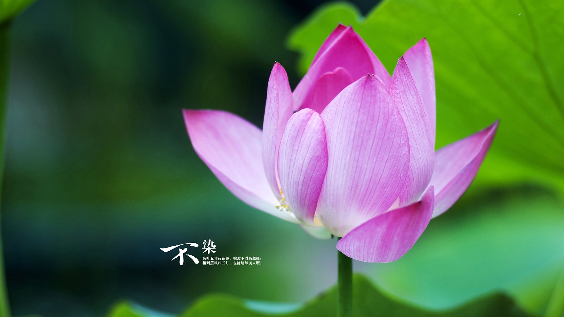 外教与本土教练协作挑战大,外籍教练