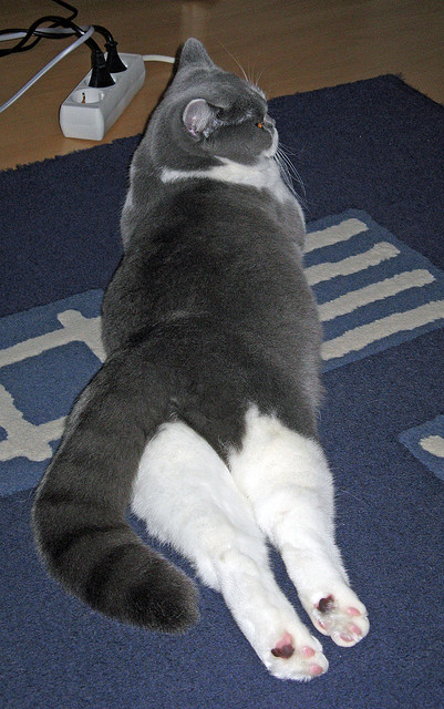 奥预赛国家队惨败 球迷反思训练方法,国奥踢联赛