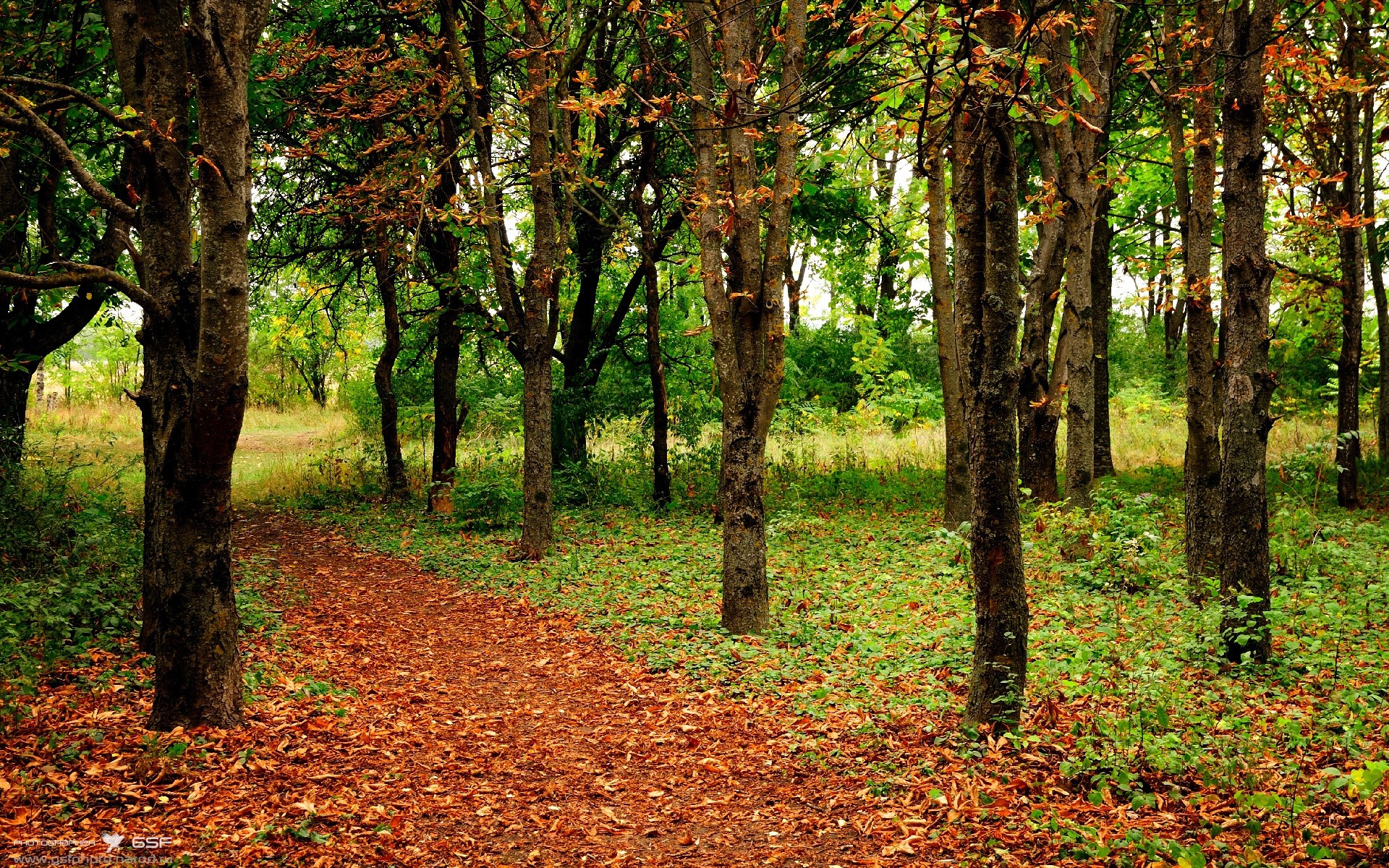 世界杯决战夜：精彩不断，荣耀无限，世界杯决赛圈赛程